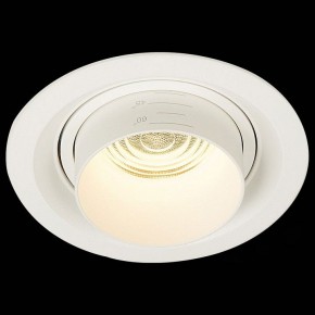 Встраиваемый светильник ST-Luce Zoom ST701.538.12 в Златоусте - zlatoust.mebel24.online | фото 4